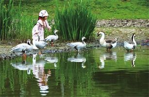 關(guān)于人與自然和諧共生，二十大報(bào)告中這樣說